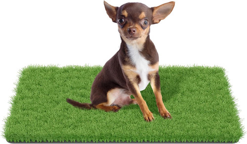 Fake grass for - fake,